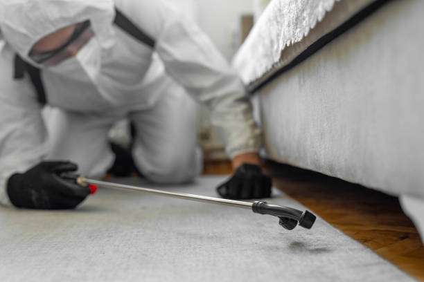 Professional Cockroach Control technician working in Casa de Oro-Mount Helix, CA