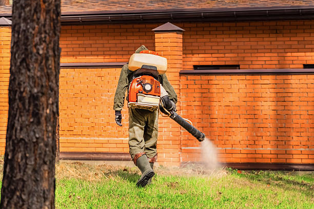 Trusted Ant Control service in Casa de Oro-Mount Helix, CA - Nex Pest Control